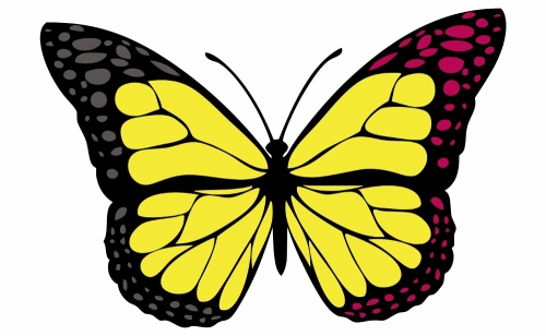 belgian butterfly (1000x617)